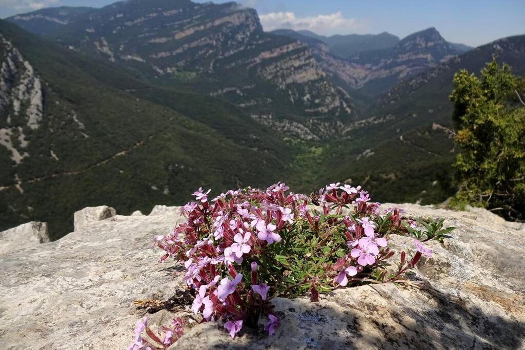 Pont De Valenti Mountain Retreat Apartment Girona Bagian luar foto